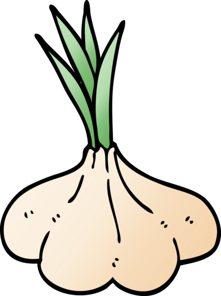 Bir insan tarafından çizilmiş karalama sarımsak soğanı.