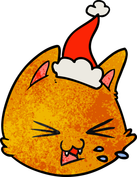 Bir insan tarafından çizilmiş Noel Baba şapkası giymiş kedi suratlı bir karikatür.