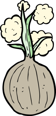 Bir insan tarafından çizilmiş karikatür soğanı.