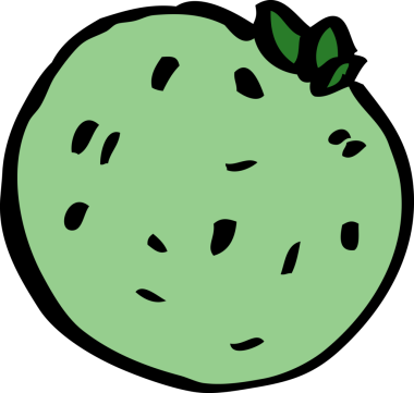 Bir insan tarafından çizilmiş karalama greyfurt.