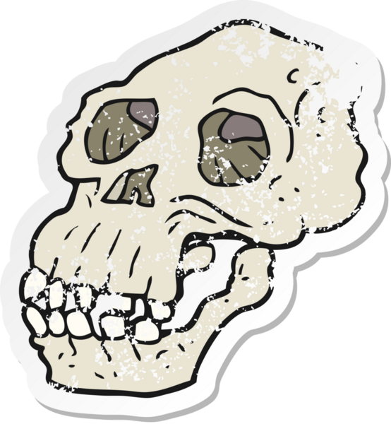 Bir insan tarafından çizilmiş eski bir kafatası karikatürünün gerilemiş yapıştırması.