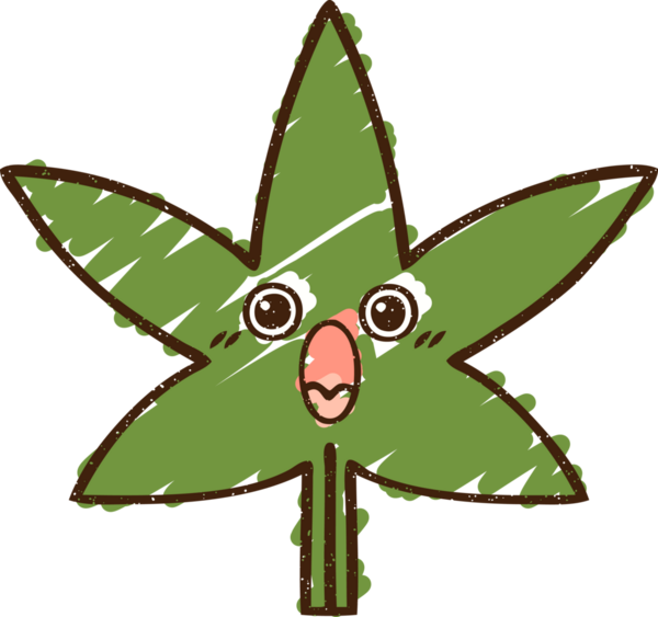 Bir insan tarafından çizilmiş Kenevir Yaprağı Tebeşiri