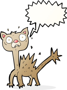 Bir insan tarafından çizilmiş konuşma balonlu korkak kedi çizgi filmi.