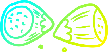 Bir insan tarafından çizilen fındık ağacının soğuk gradyan çizgisi.