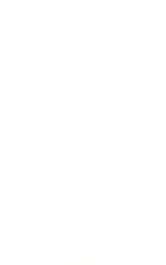 Bir insan tarafından çizilen Ev Bitkisi Tebeşiri