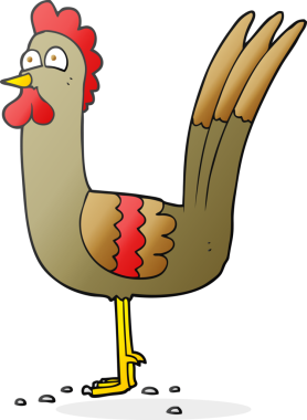 Bir insan tarafından çizilmiş serbest çizim tavuk.