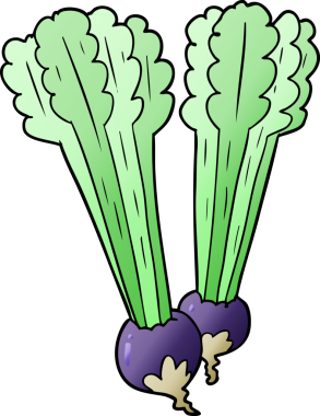 bir insan tarafından çizilmiş pancar kökleri.