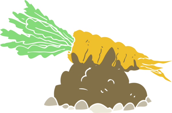 Bir insan tarafından çizilmiş havucun düz renk çizimi