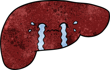 Bir insan tarafından çizilmiş karaciğer.