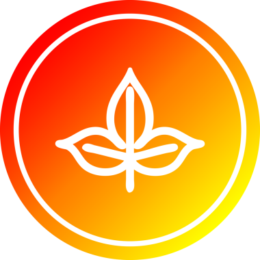 Bir insan tarafından çizilmiş doğal yaprak dairesel simgesi.