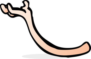 Bir insan tarafından çizilmiş çizgi film kolu.