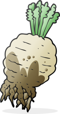 Bir insan tarafından çizilmiş çamurlu şalgam karikatürü.