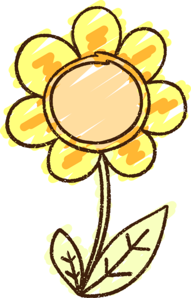 Bir insan tarafından çizilen Ayçiçeği Tebeşiri