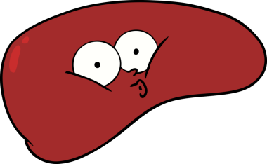 Bir insan tarafından çizilmiş karaciğer.