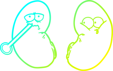 Bir insan tarafından çizilmiş sağlıksız bir böbreğin soğuk gradyan çizimi.