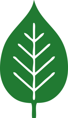 Bir insan tarafından çizilmiş yeşil yaprağın düz renkli retro karikatürü