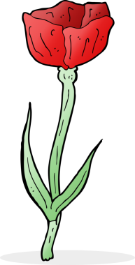 Bir insan tarafından çizilmiş gelincik.