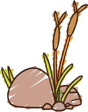 Bir insan tarafından çizilen sazlıklar.