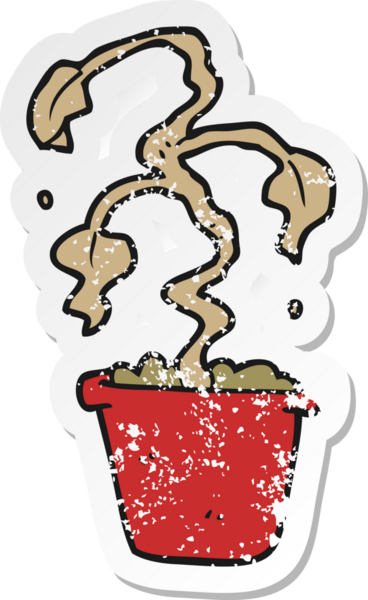 Bir insan tarafından çizilmiş bir karikatür ölü ev bitkisinin gerilimli yapıştırması