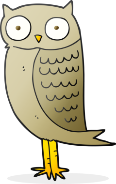 Bir insan tarafından çizilmiş baykuş çizimi.