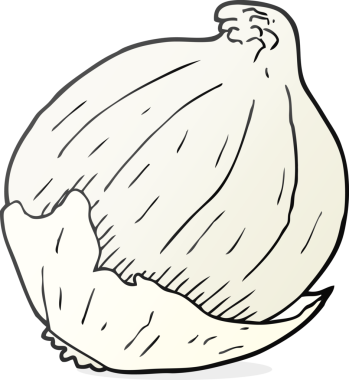 Bir insan tarafından çizilmiş serbest çizim soğan.