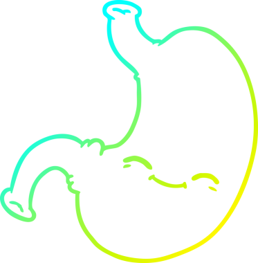 Bir insan tarafından çizilmiş karikatür midesi.