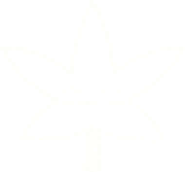 Bir insan tarafından çizilen Yaprak Tebeşiri