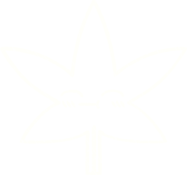 Bir insan tarafından çizilen Yaprak Tebeşiri