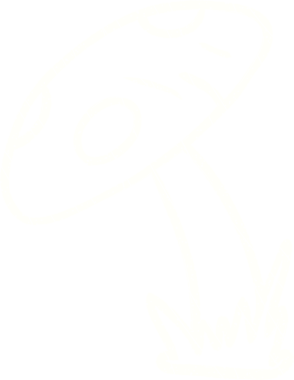 Bir insan tarafından çizilmiş Toadstool Tebeşiri