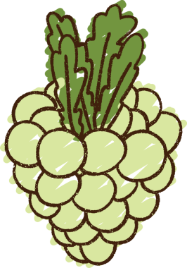 Bir insan tarafından çizilmiş Üzüm Tebeşiri