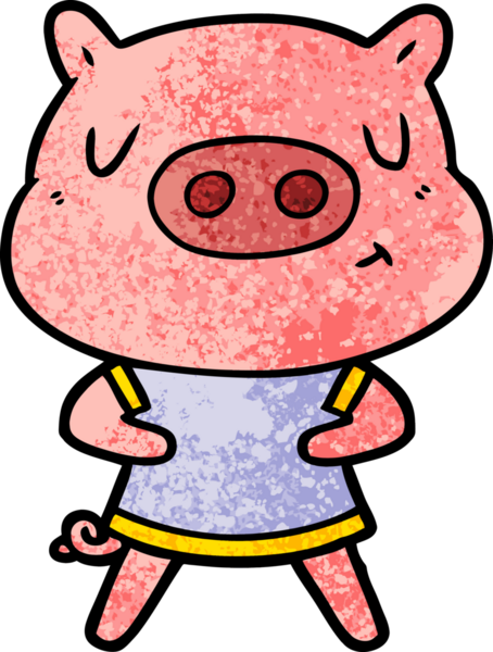 Çizgi film içerikli bir domuz insan tarafından çizilmiş bir tişört giyiyor.