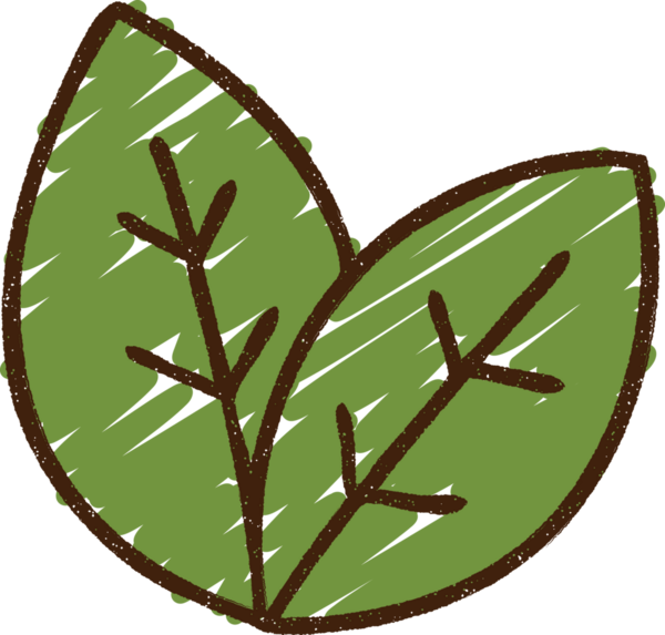 Bir insan tarafından çizilen Yaprak Tebeşiri