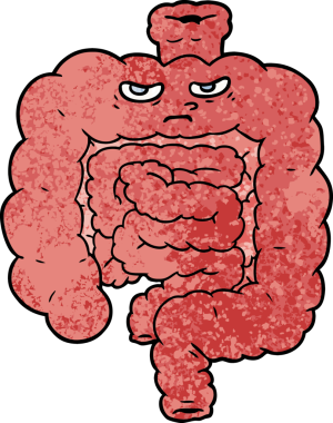 Bir insan tarafından çizilmiş karikatür bağırsakları.