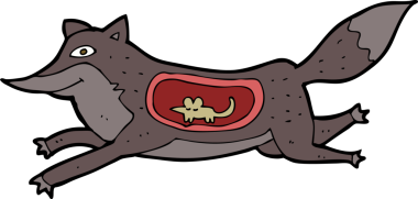 Bir insan tarafından karnında fare olan çizgi film kurdu.