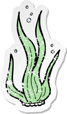 Bir insan tarafından çizilmiş karikatür deniz yosunu etiketi.