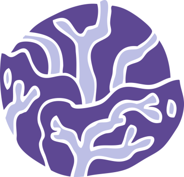 Bir insan tarafından çizilmiş karalama lahanası.