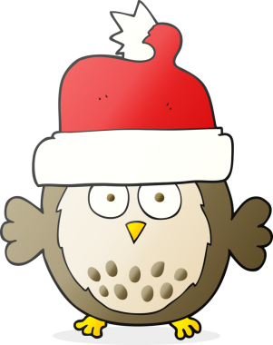 Bir insan tarafından çizilmiş Noel şapkası giyen baykuş çizimi.