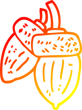 Bir insan tarafından çizilmiş bir palamutun sıcak çizgi çizimi