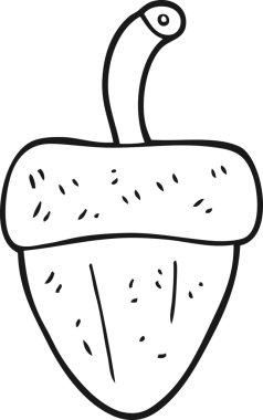 Bir insan tarafından çizilmiş siyah beyaz palamut.