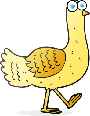 Bir insan tarafından çizilmiş serbest çizgi film kuşu.