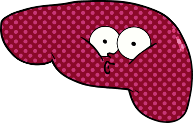 Bir insan tarafından çizilmiş karaciğer.