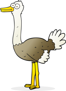 Bir insan tarafından çizilmiş devekuşu çizimi.