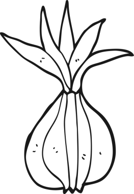 Bir insan tarafından çizilmiş karikatür soğanı.