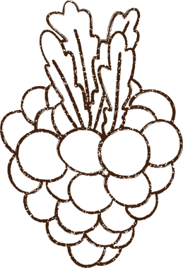 Bir insan tarafından çizilmiş Üzüm Kömürü