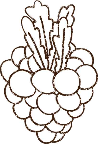 Bir insan tarafından çizilmiş Üzüm Kömürü