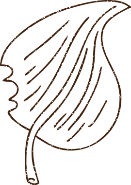 Yaprak Kömürü Bir insan tarafından çizilmiş