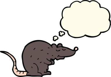 Bir insan tarafından çizilmiş düşünce kabarcığı olan siyah bir fare.