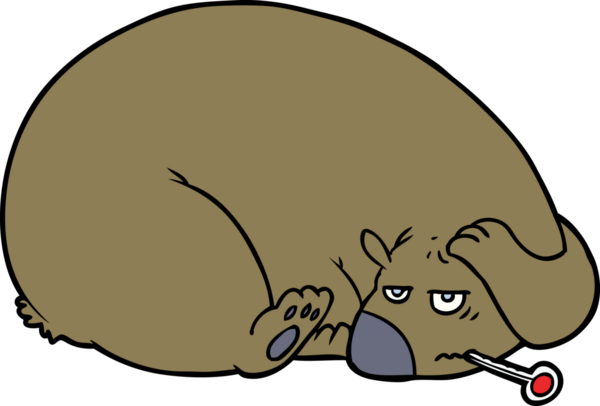 Bir insan tarafından çizilmiş yaralı bir kafası olan çizgi film ayısı.