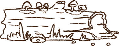 Çürüyen Ahşap Kömür Çizimi Bir insan tarafından çizildi