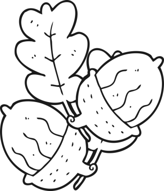 Bir insan tarafından çizilmiş siyah beyaz meşe palamutları.